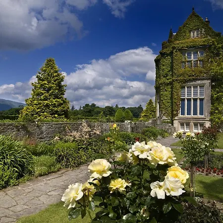 Dromhall 4*