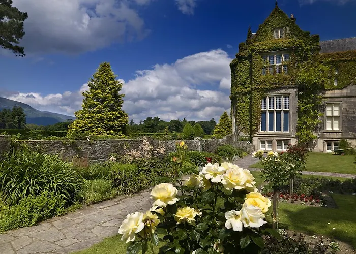 Dromhall 4*